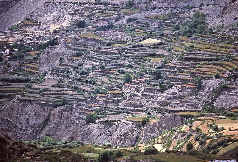 WT 1000 177-34 Nepal.jpg